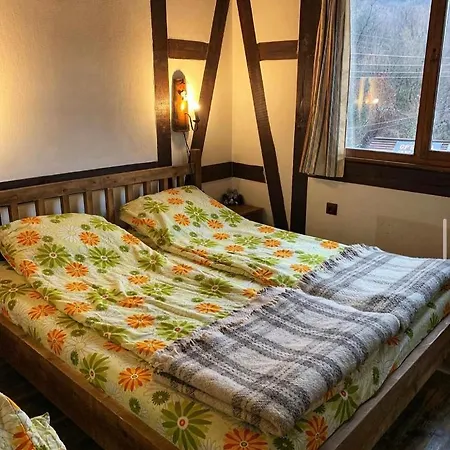 Villa Вила Малкия Чифлик